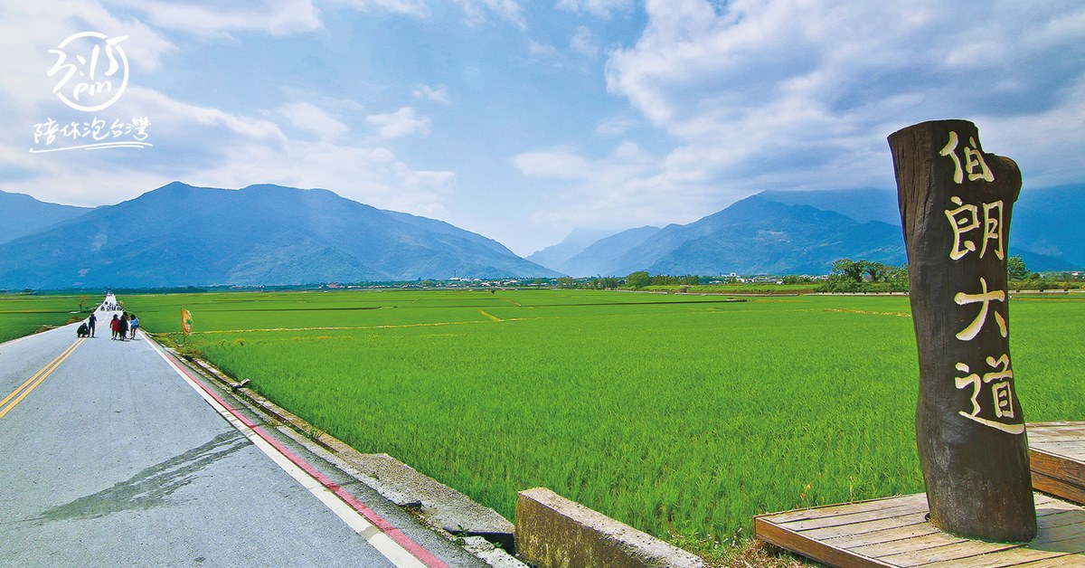 伯朗大道｜台東池上鄉